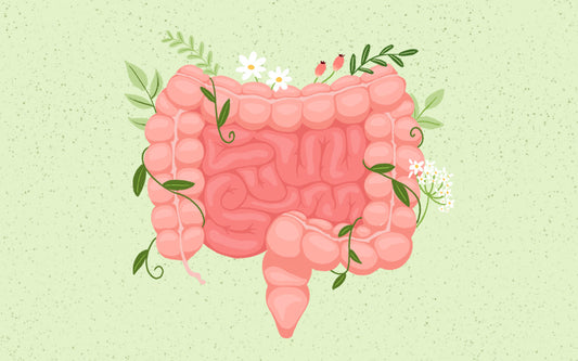 Das Mikrobiom – Stärke Deinen Darm und Dein Wohlbefinden