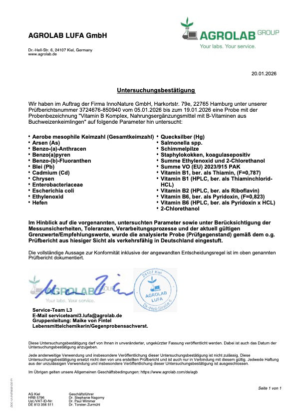 Natürliche Vitamin B Komplex Kapseln