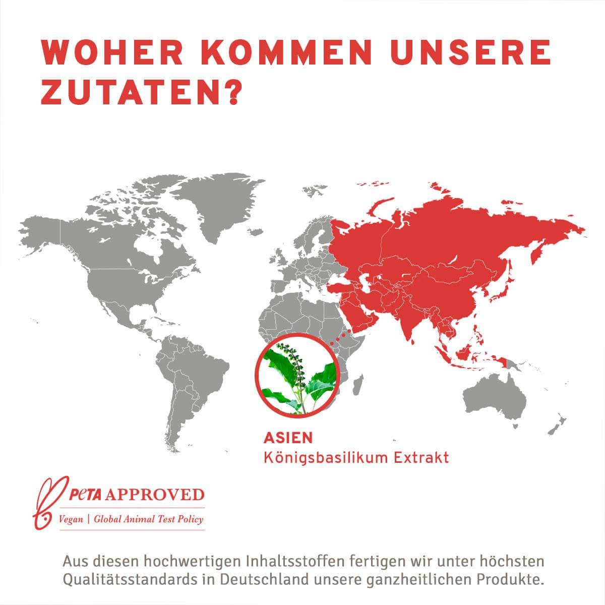 InnoNature Kapseln Biotin Kapseln: Vitamin B7 aus Königsbasilikum