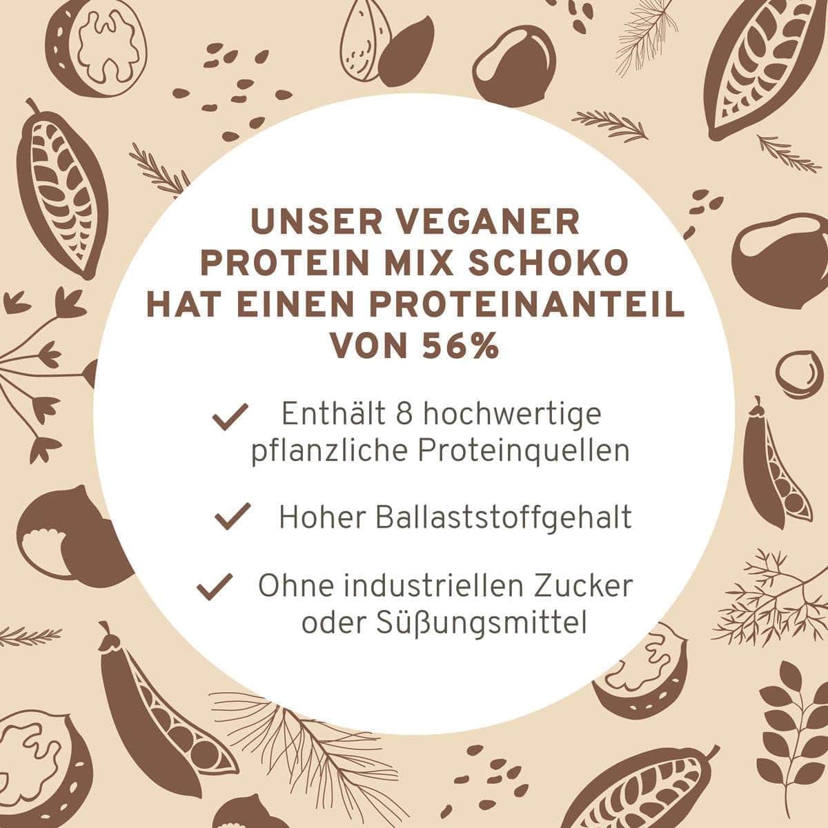 InnoNature Pulver Bio Veganer Protein Mix Schoko