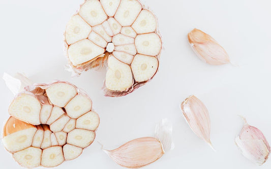 Aufgeschnittene Knoblauch-Knolle und einzelne Knoblauchzehen. 