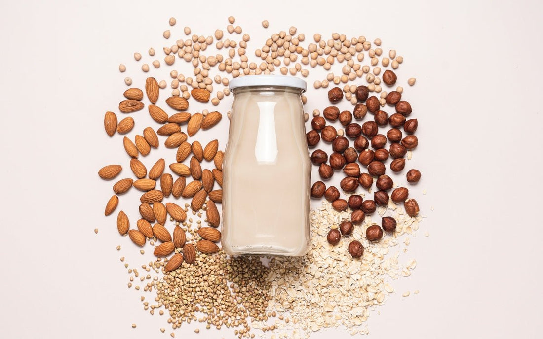 Nüsse, Hülsenfrüchte, Pflanzenmilch und andere Proteinquellen