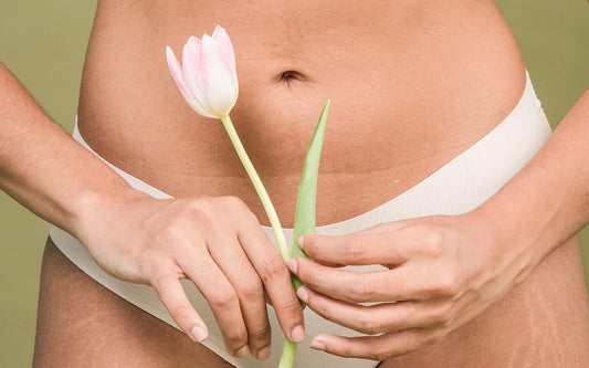 Weibliche Person mit weißem Slip hält eine rosa Blume vor ihren unteren Bauch.