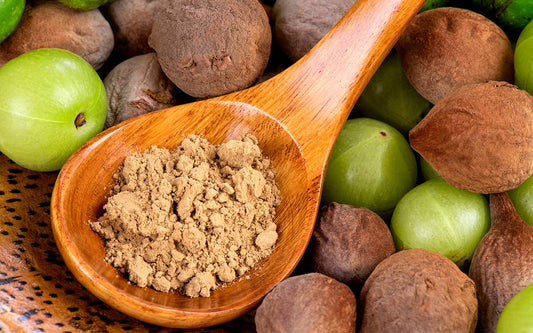 Unterschiedliche ayurvedische Früchte und Pulver. 