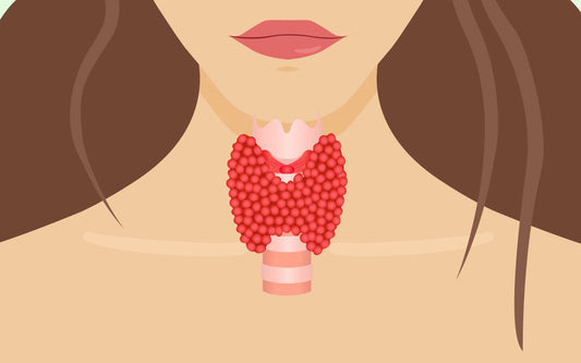 Illustration einer Frau und ihrer Schilddrüse