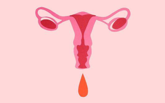 Illustration eines Uterus in rosa Farben.
