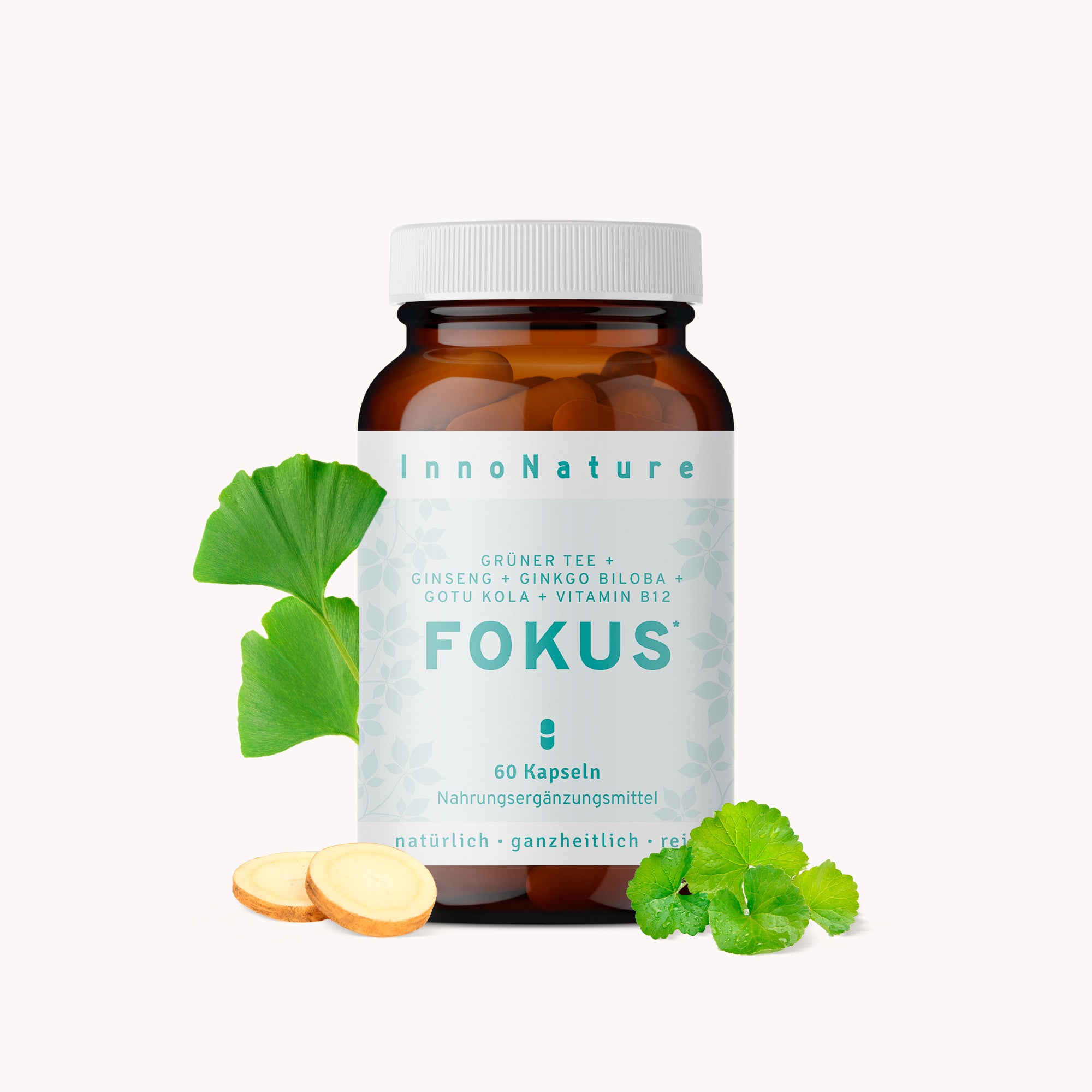 Fokus* Kapseln