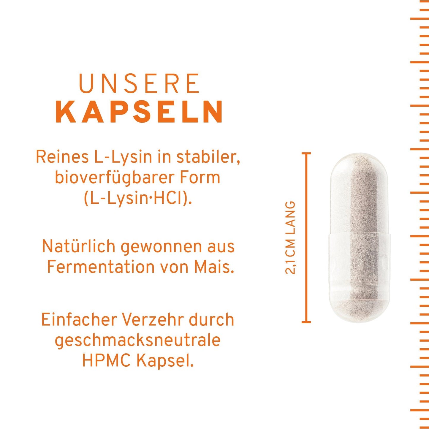 L-Lysin Kapseln