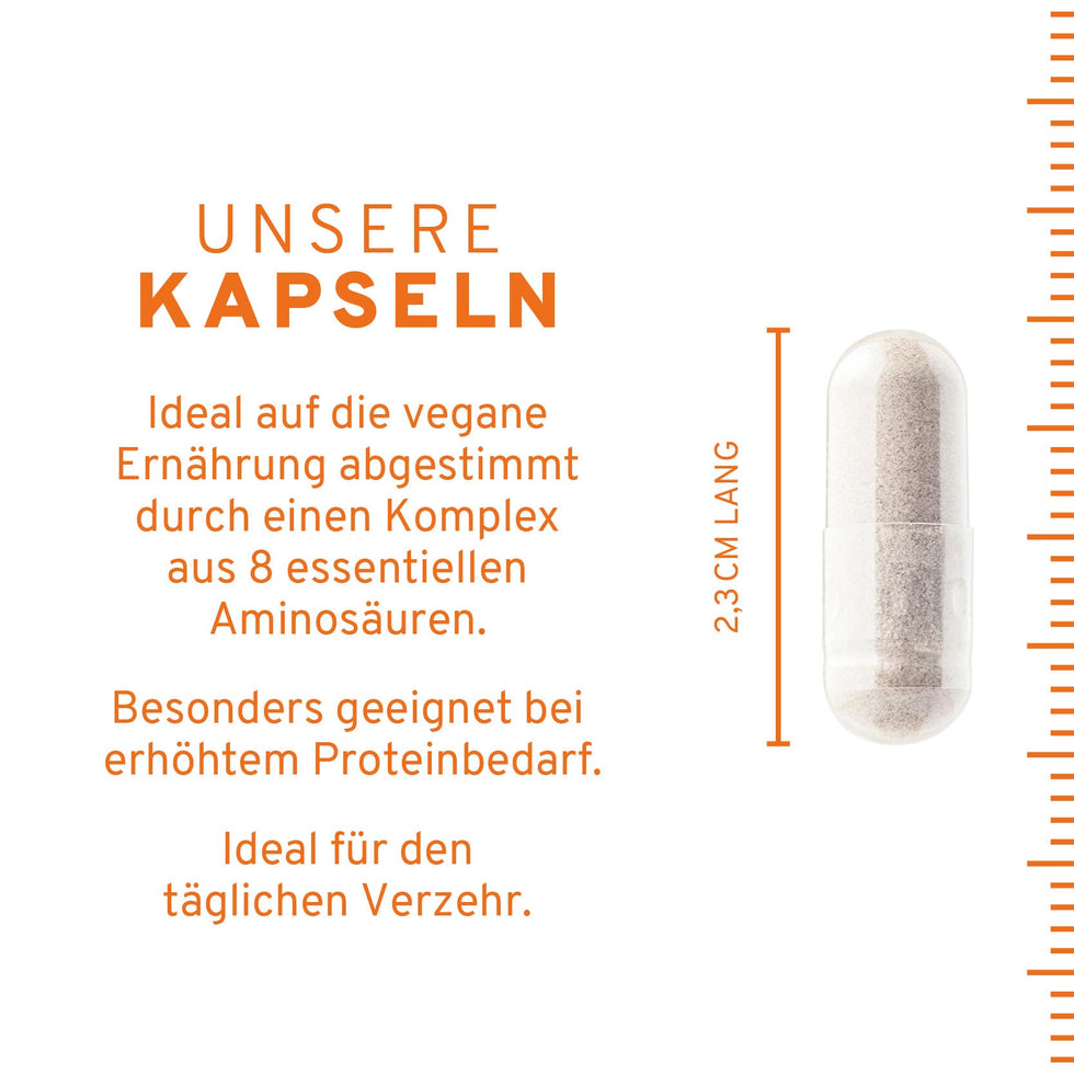 Aminosäuren Komplex Kapseln
