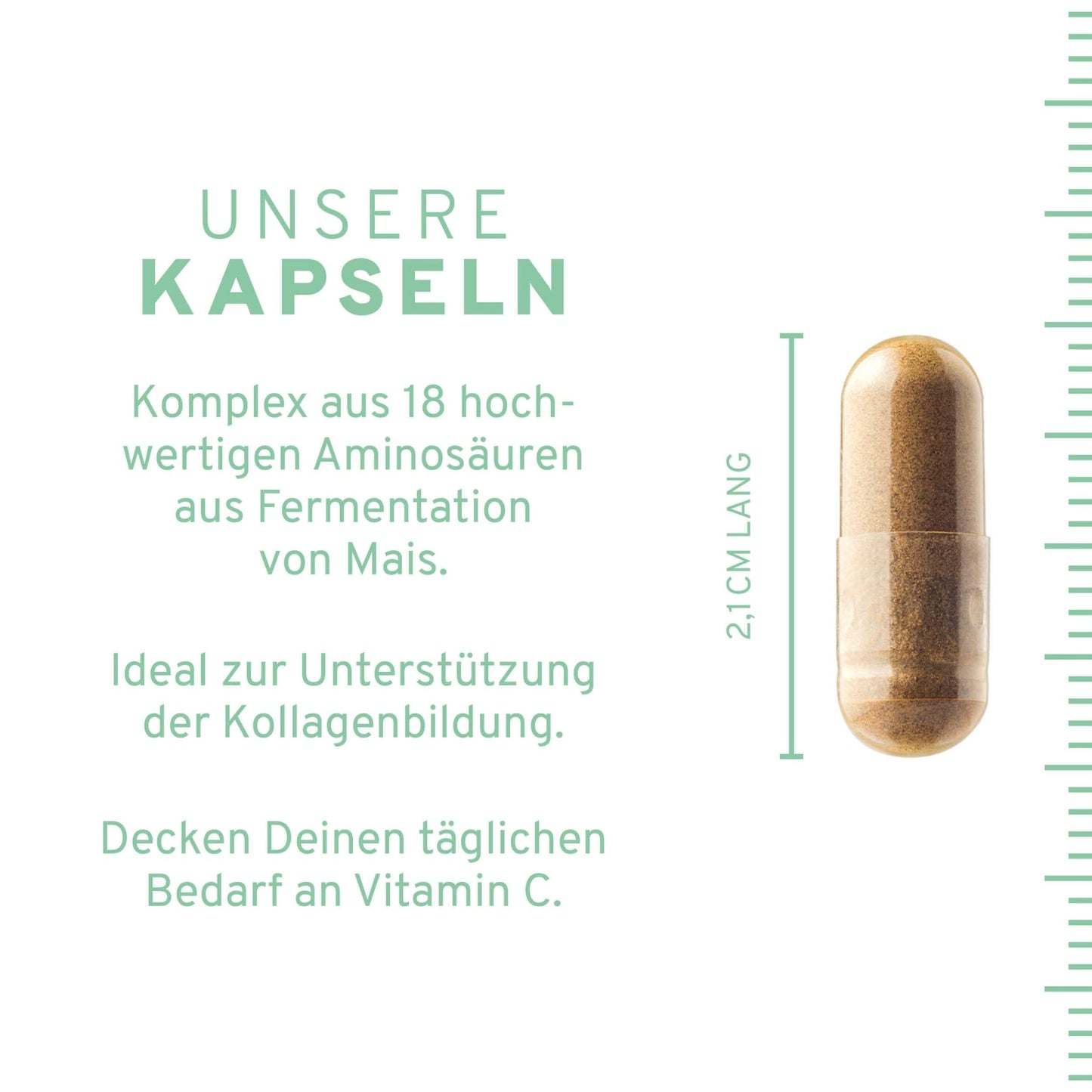 Vegan Kollagen Support Kapseln
