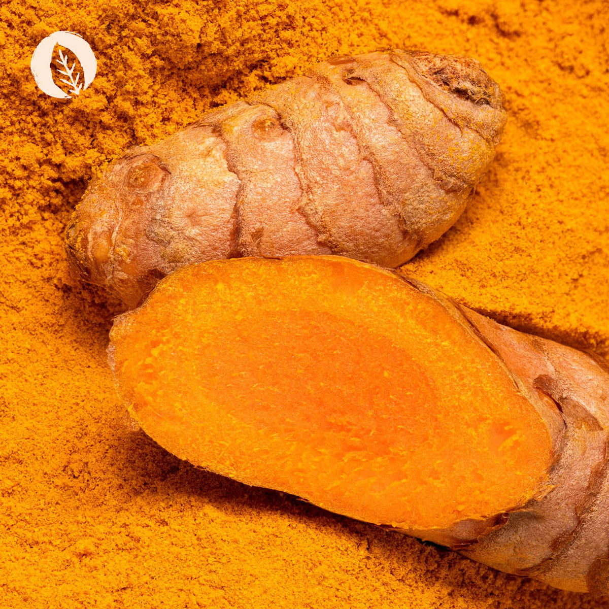 Curcuma Kapseln