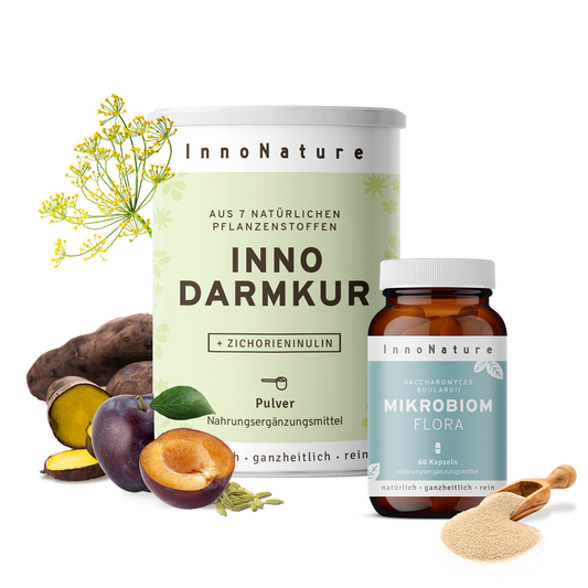  Darmkur-Starter-Set