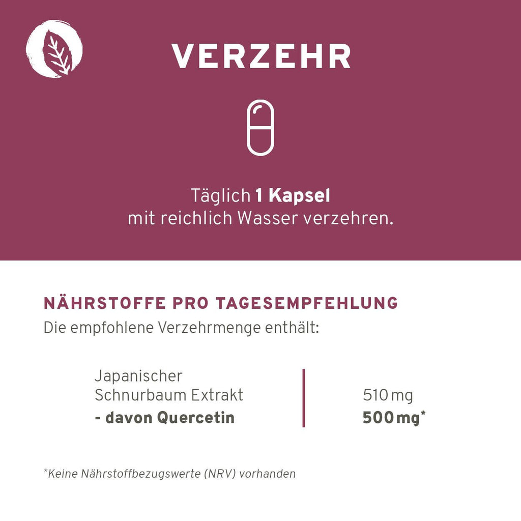 Quercetin 90 Kapseln