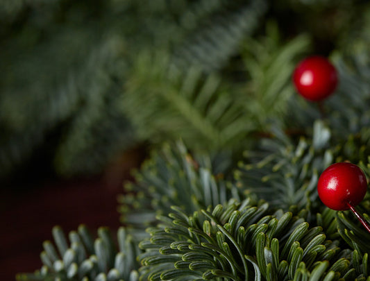 InnoNature Inno Darmkur 3 Tage Probierpackung