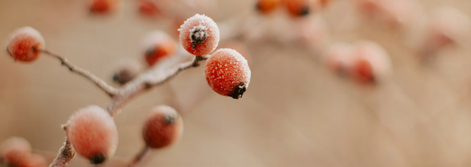 Innonature tablet Banner