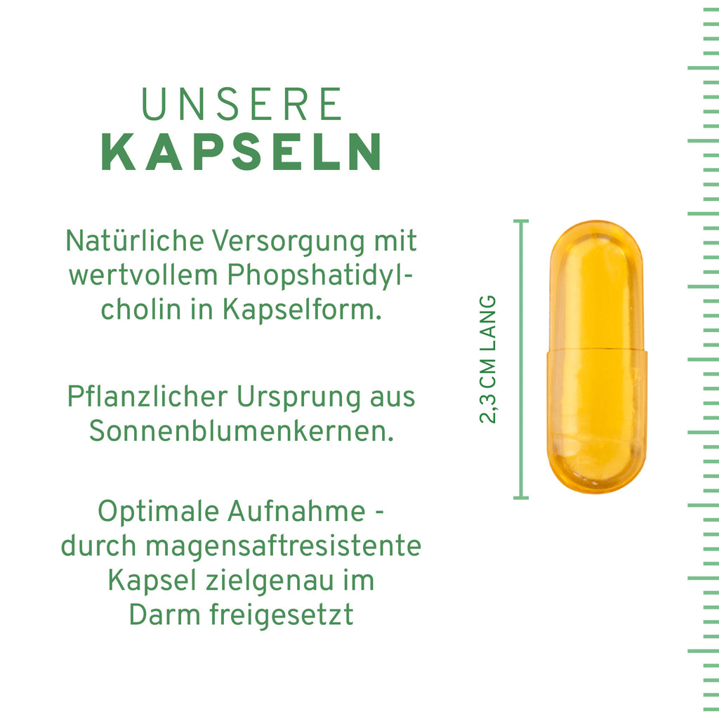 Phosphatidylcholin 60 Kapseln