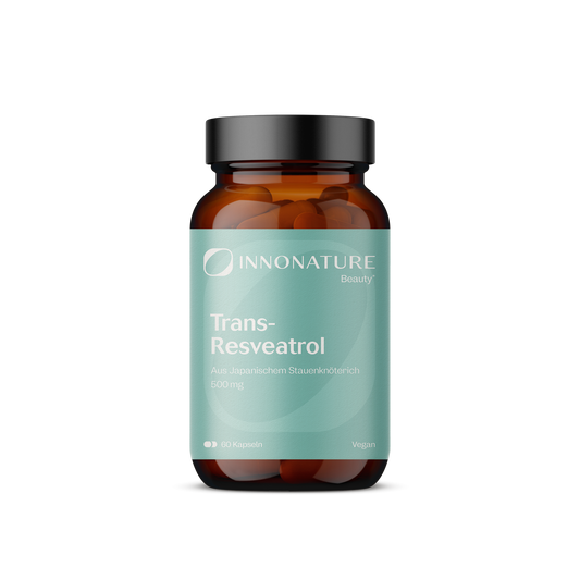  Trans-Resveratrol: Japanischer Staudenknöterich