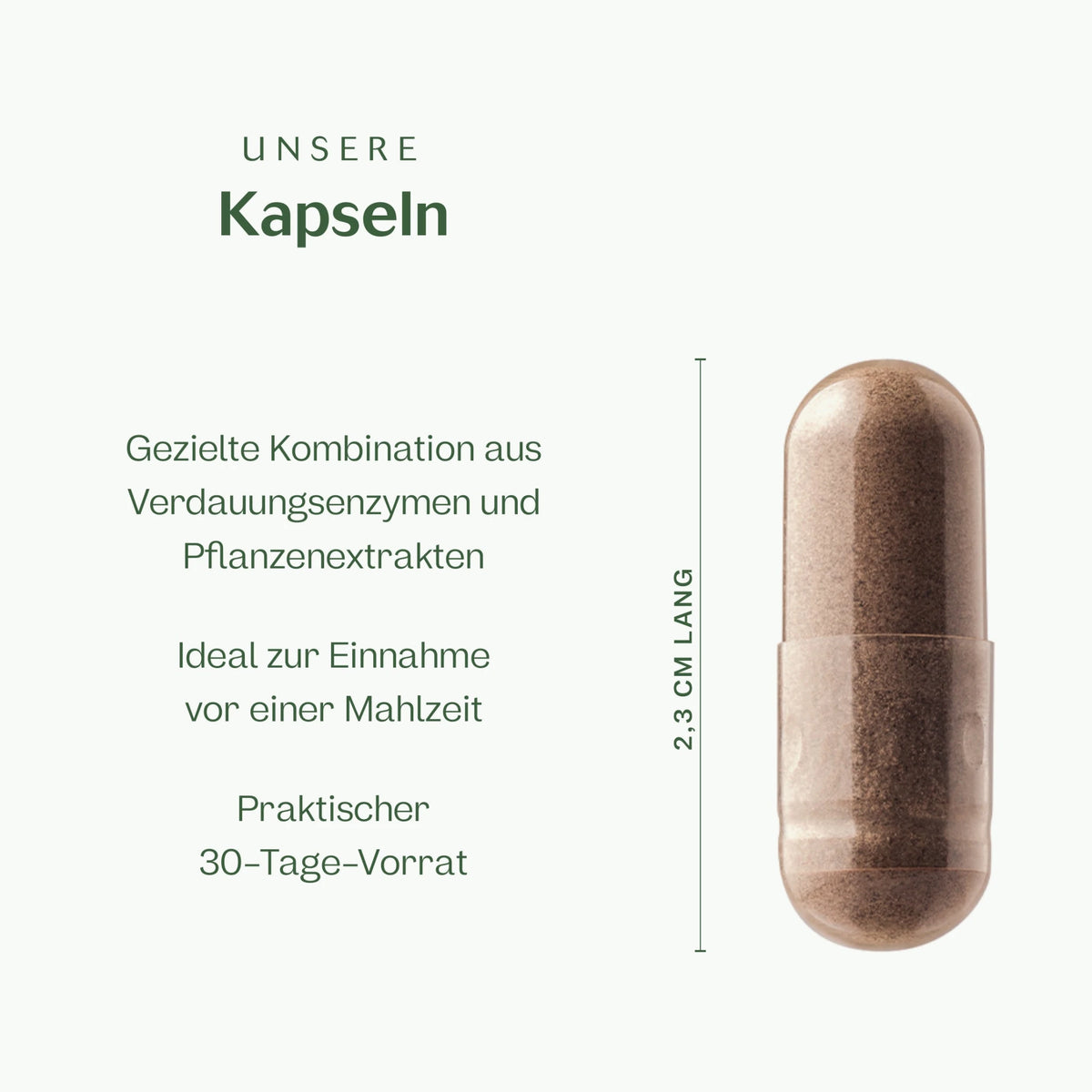 Daily Digest 60 Kapseln