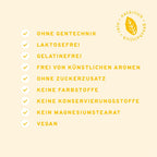 Bio Veganer Protein Mix Vanille