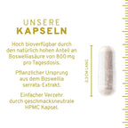 InnoNature Kapseln 1x 120 Kapseln Boswelliasäure: Weihrauch Kapseln