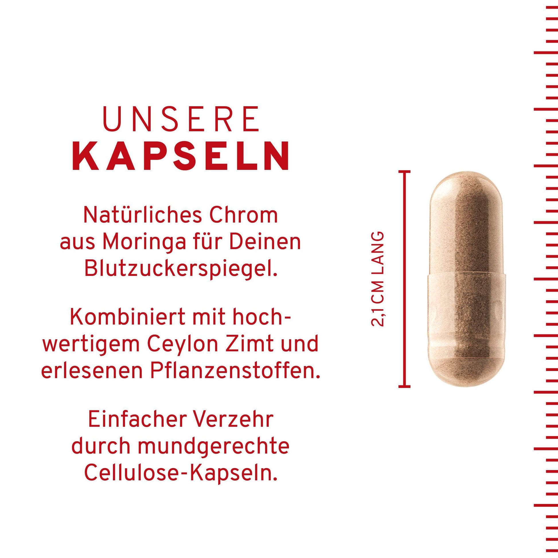 InnoNature Kapseln 1x Monatsvorrat (60 Kapseln) Blutzucker Kapseln