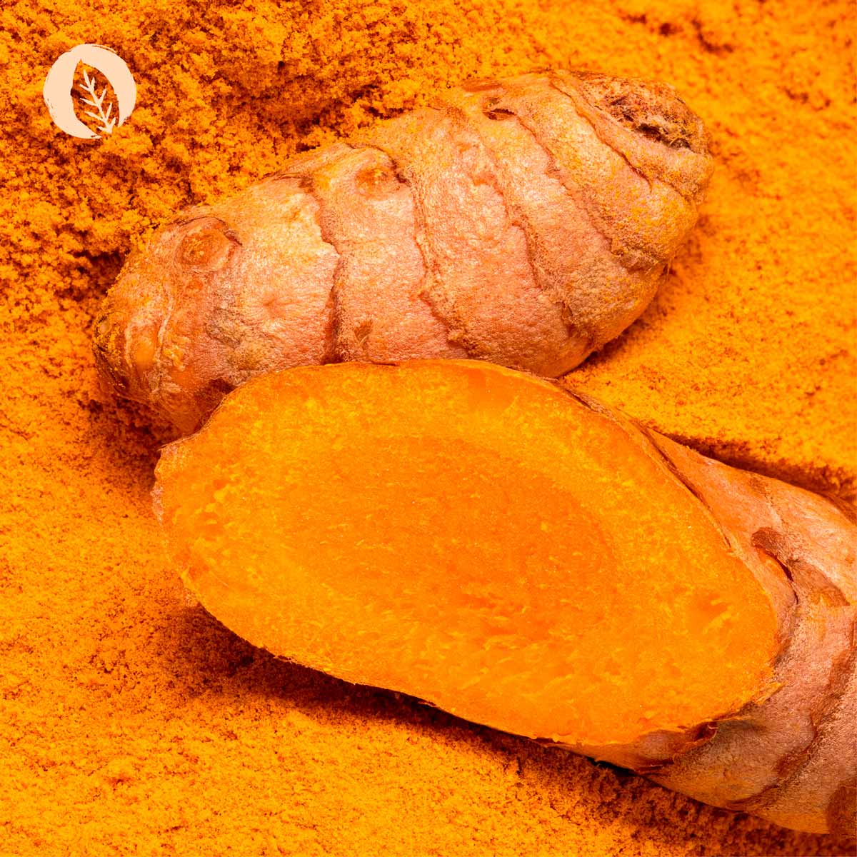 InnoNature Kapseln Curcuma Kapseln