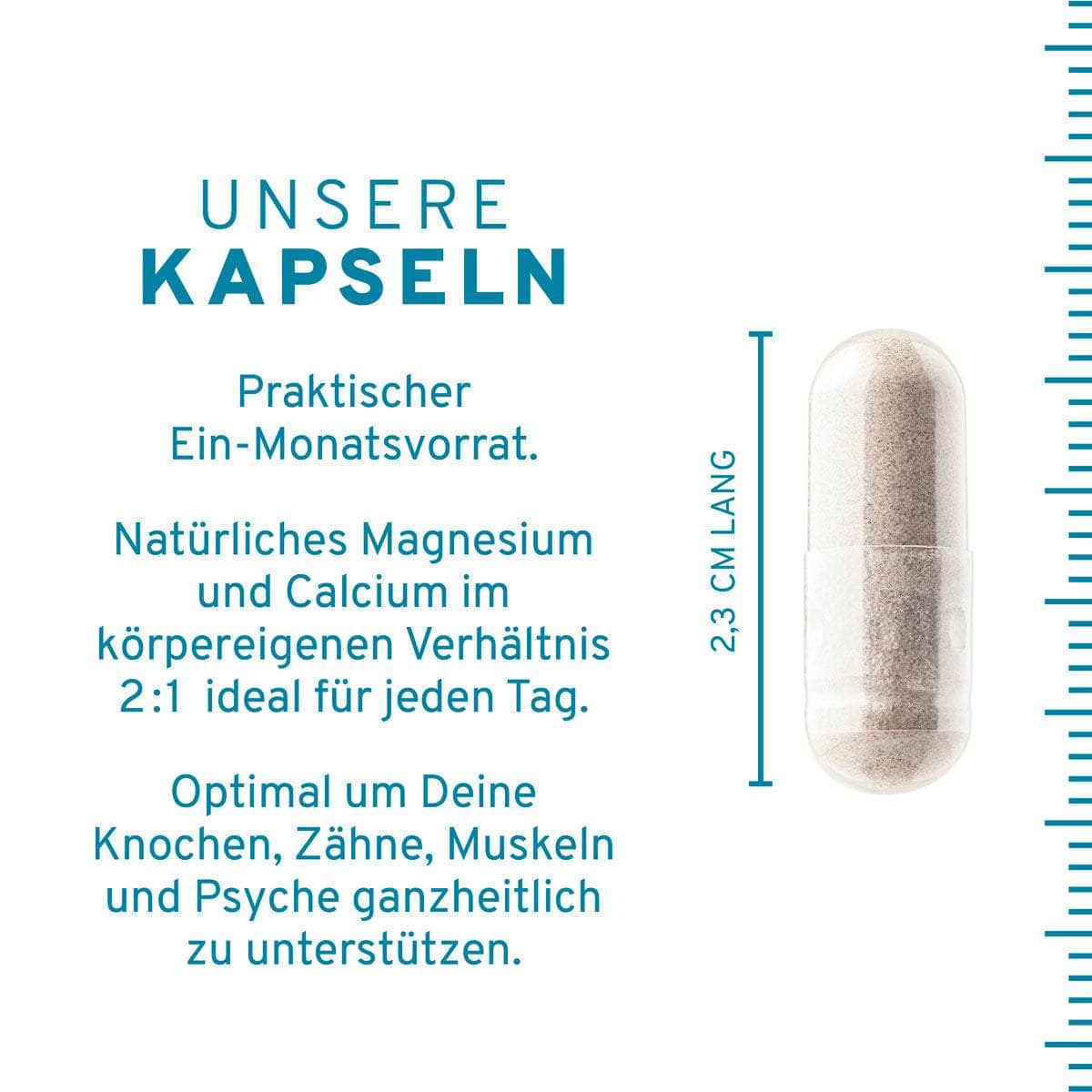 InnoNature Kapseln Magnesium + Calcium Kapseln