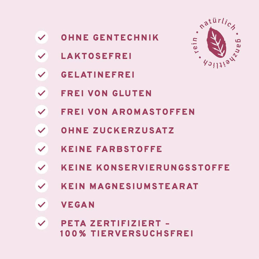 InnoNature Kapseln Quercetin 90 Kapseln