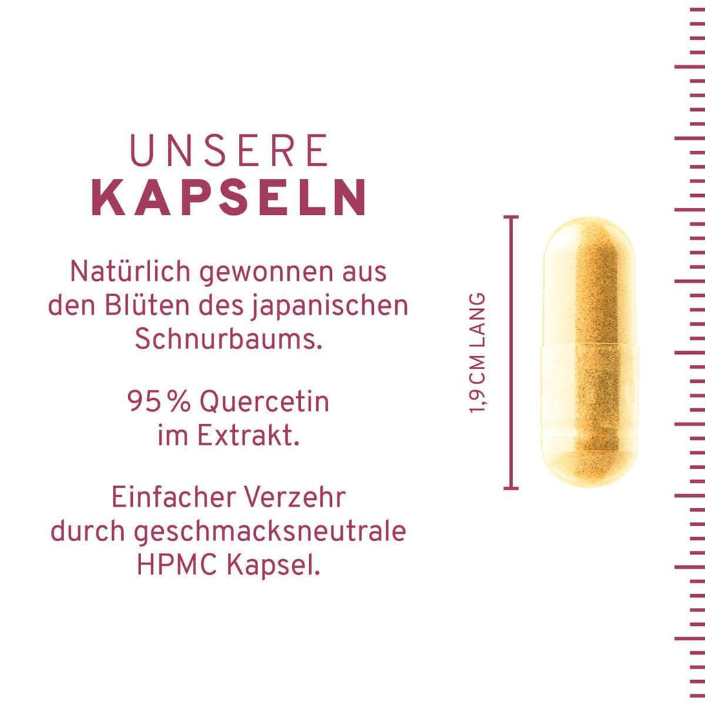 InnoNature Kapseln Quercetin 90 Kapseln