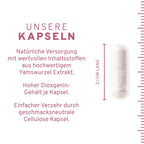 InnoNature Kapseln Wilde Yamswurzel Extrakt Kapseln