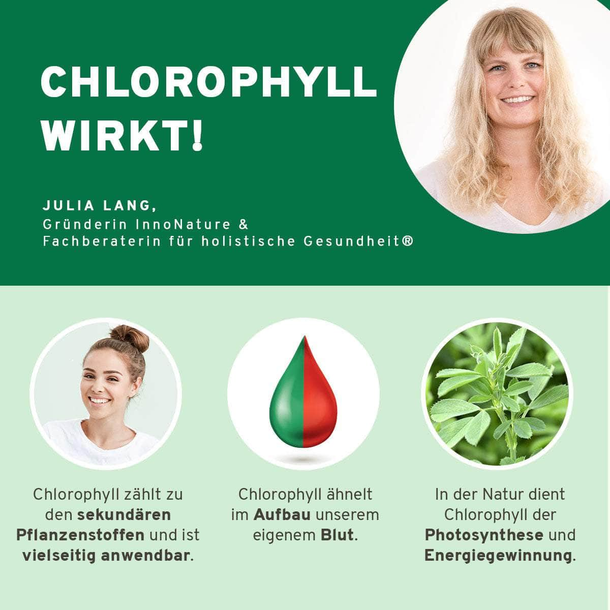 InnoNature Pakete 1x Vorrat (1x Vitamin B Komplex, 1x Chlorophyll, 1x Vitalpilz Kapseln) deinegesundefamilie-Energie-Paket