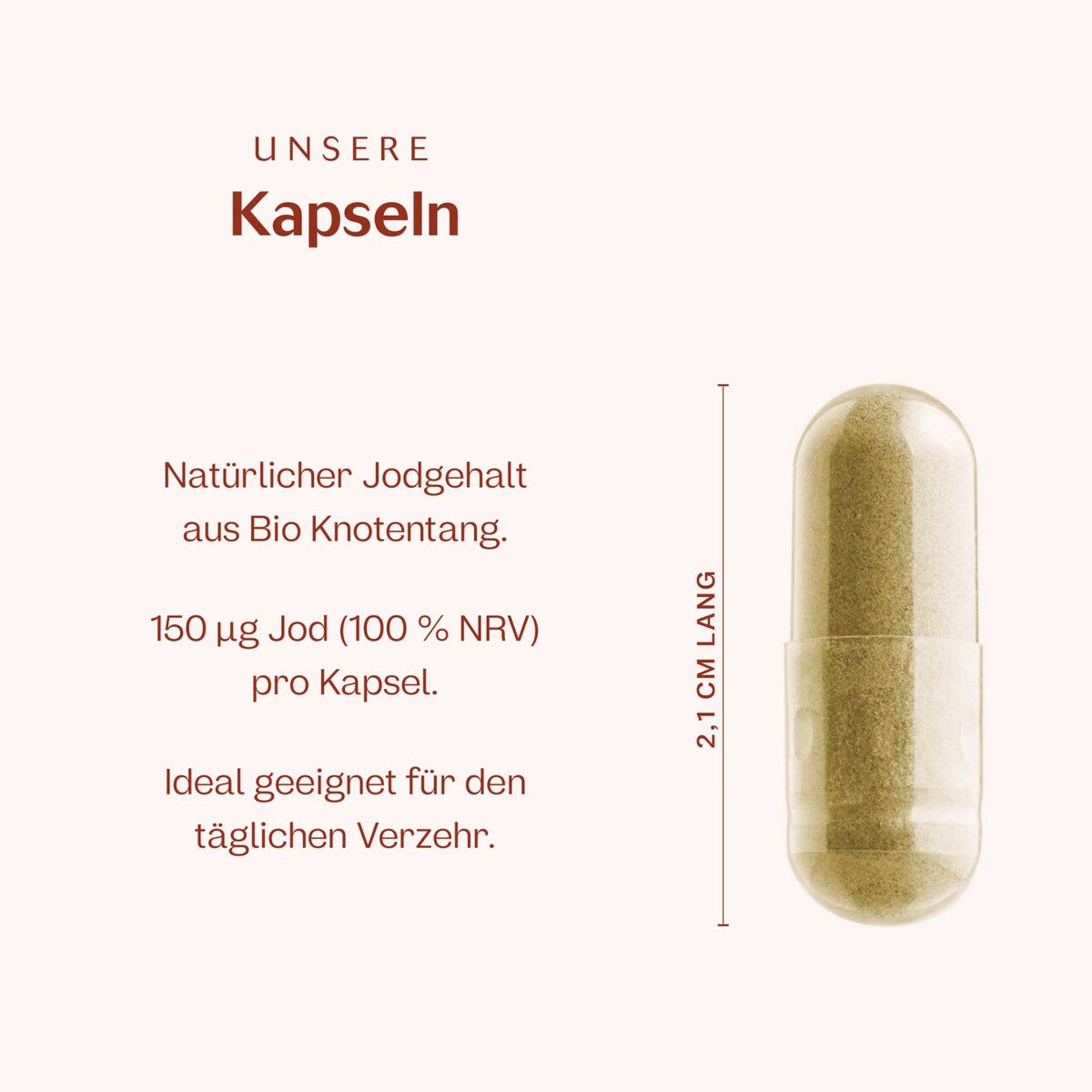 Bio Jod 120 Kapseln