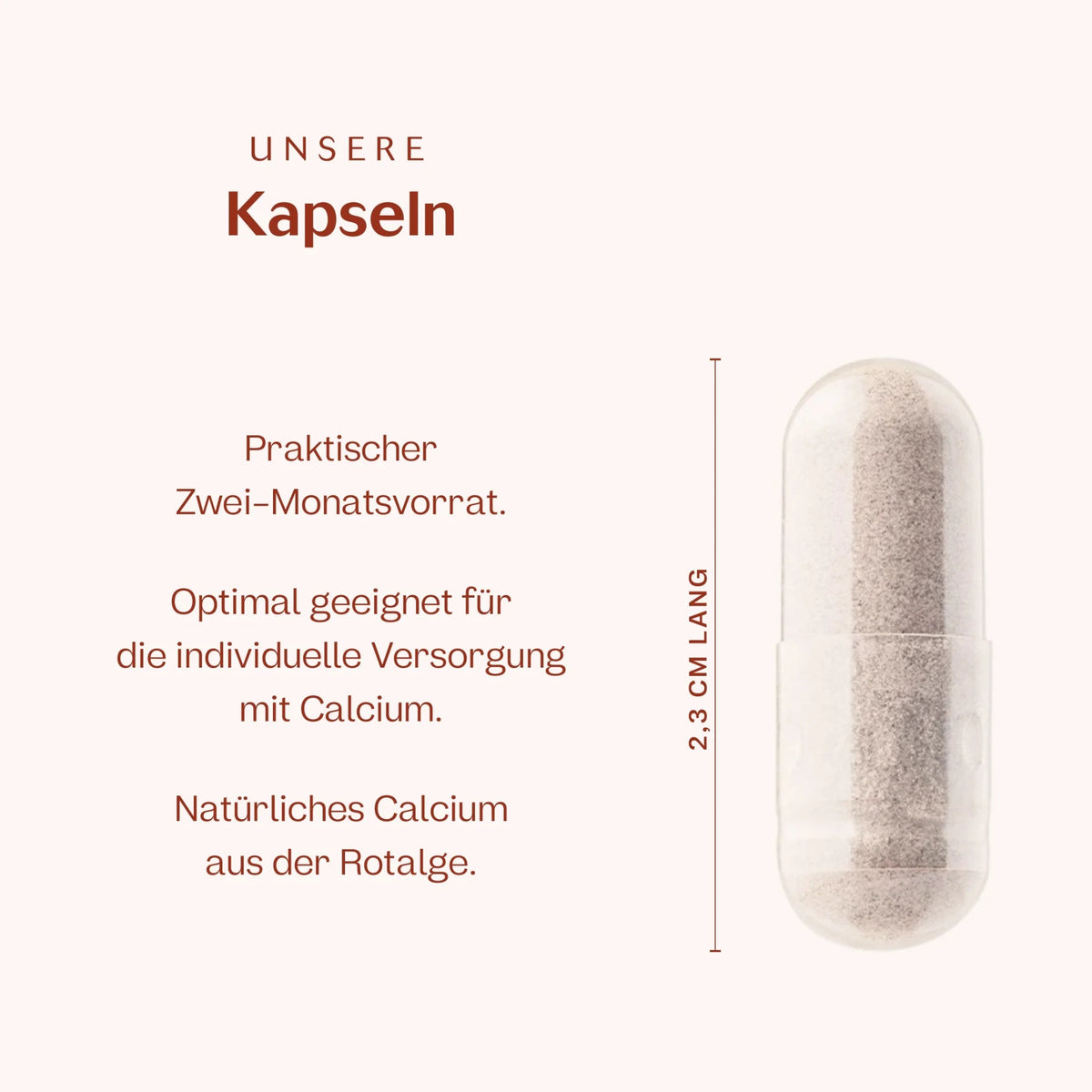 Calcium 120 Kapseln