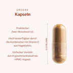 Eisen 60 Kapseln