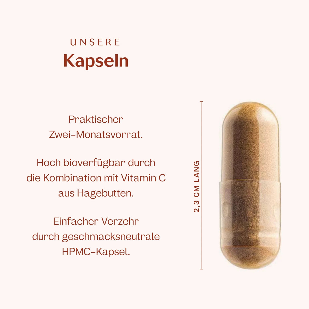 Eisen 60 Kapseln