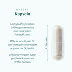 MSM Kapseln