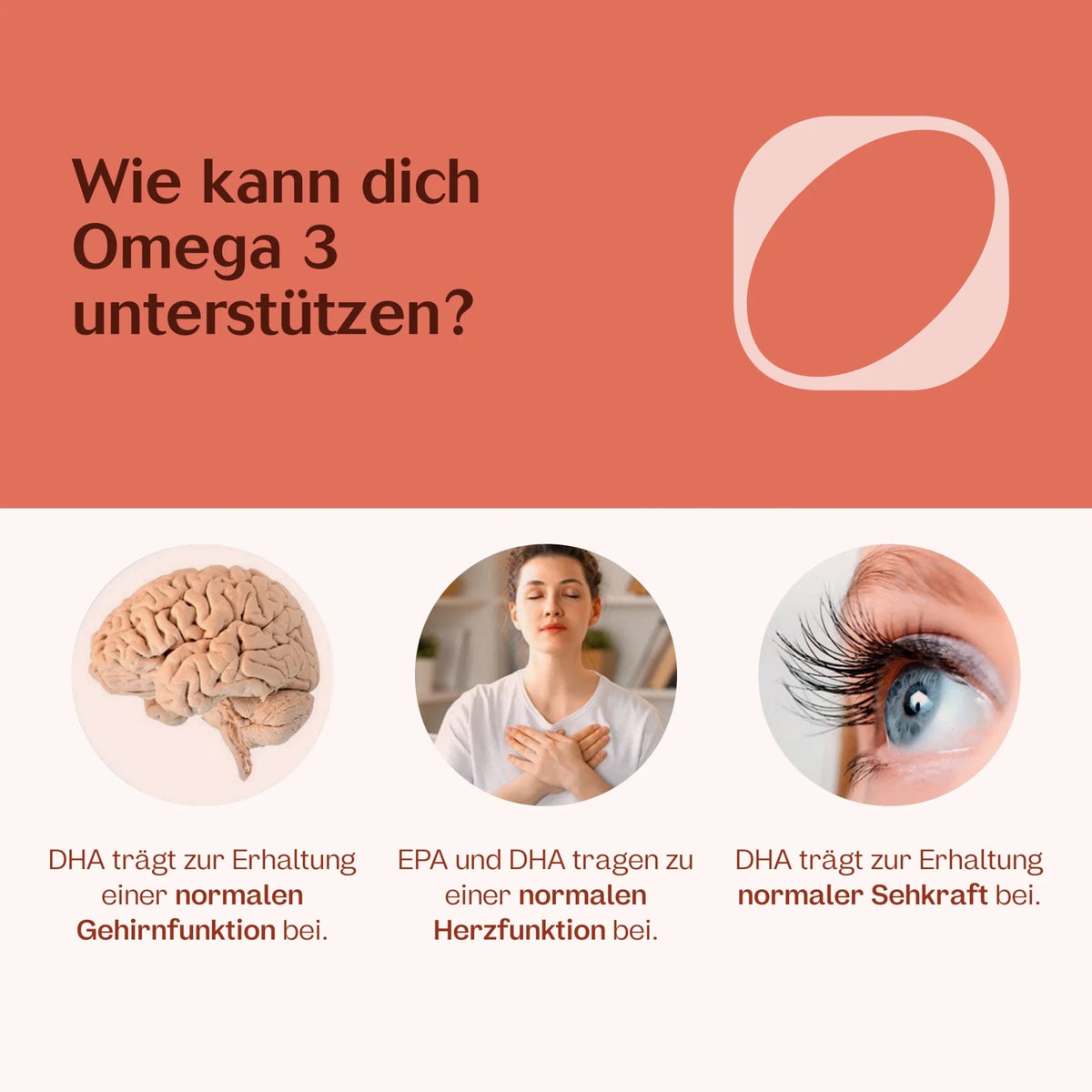 Omega 3 2:1 DHA/EPA 60 Kapseln