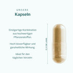 Stoffwechsel Plus Kapseln