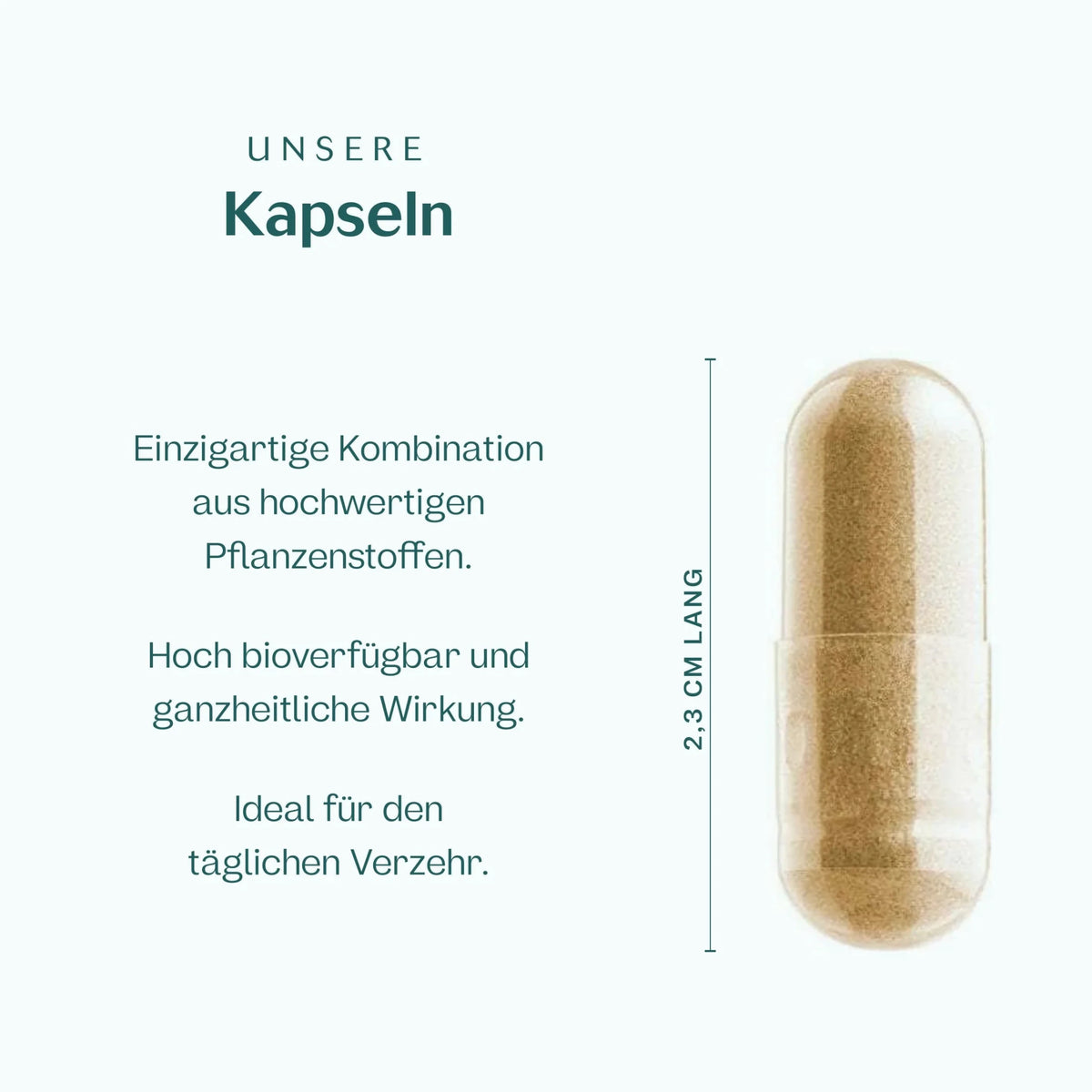 Stoffwechsel Plus Kapseln