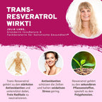 InnoNature Kapseln Trans-Resveratrol aus japanischem Staudenknöterich