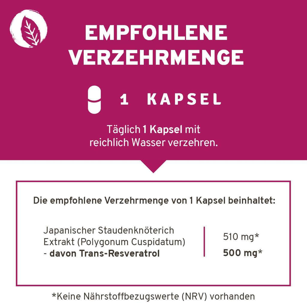 InnoNature Kapseln Trans-Resveratrol aus japanischem Staudenknöterich